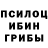 Галлюциногенные грибы Magic Shrooms Reetik Satapathy